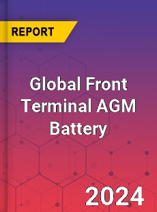 Global Front Terminal AGM Battery Industry