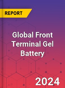 Global Front Terminal Gel Battery Industry