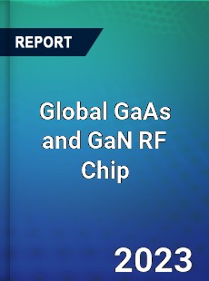 Global GaAs and GaN RF Chip Industry