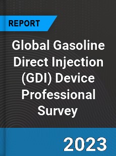 Global Gasoline Direct Injection Device Professional Survey Report