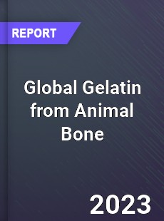 Global Gelatin from Animal Bone Industry