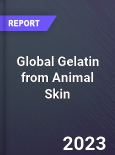 Global Gelatin from Animal Skin Industry