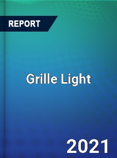 Global Grille Light Professional Survey Report