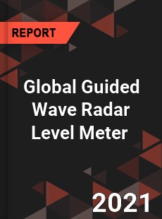Global Guided Wave Radar Level Meter Market
