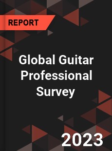 Global Guitar Professional Survey Report