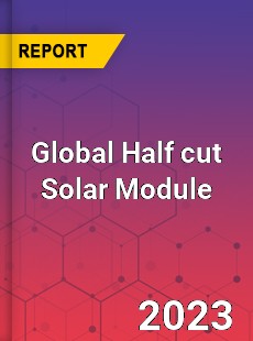 Global Half cut Solar Module Industry