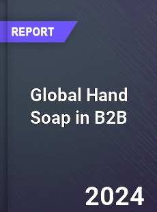 Global Hand Soap in B2B Market