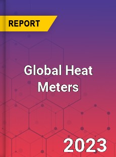 Global Heat Meters Market