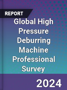 Global High Pressure Deburring Machine Professional Survey Report