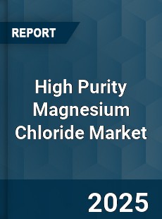 Global High Purity Magnesium Chloride Market