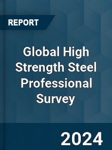 Global High Strength Steel Professional Survey Report