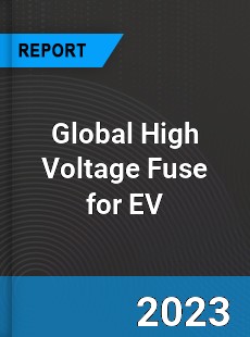 Global High Voltage Fuse for EV Industry