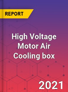 Global High Voltage Motor Air Cooling box Professional Survey Report