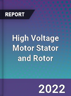 Global High Voltage Motor Stator and Rotor Market