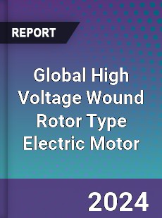 Global High Voltage Wound Rotor Type Electric Motor Industry