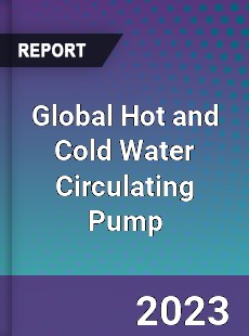 Global Hot and Cold Water Circulating Pump Industry