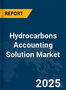 Global Hydrocarbons Accounting Solution Market