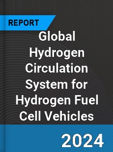 Global Hydrogen Circulation System for Hydrogen Fuel Cell Vehicles Industry