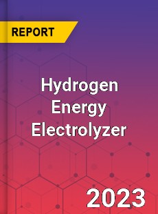 Global Hydrogen Energy Electrolyzer Market
