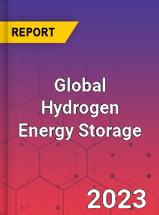 Global Hydrogen Energy Storage Market