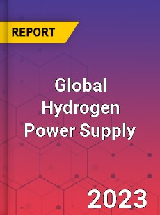 Global Hydrogen Power Supply Industry