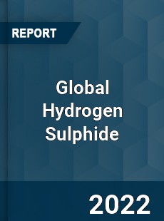 Global Hydrogen Sulphide Market