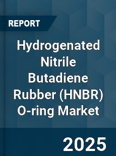 Global Hydrogenated Nitrile Butadiene Rubber O ring Outlook