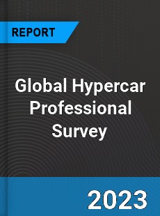 Global Hypercar Professional Survey Report