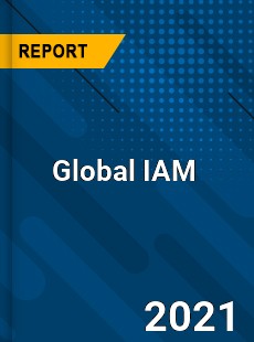 Global IAM Market