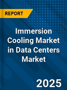 Global Immersion Cooling Market