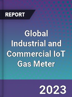 Global Industrial and Commercial IoT Gas Meter Industry