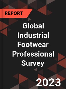 Global Industrial Footwear Professional Survey Report