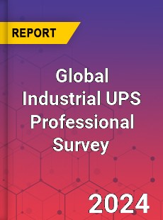 Global Industrial UPS Professional Survey Report