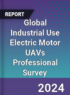 Global Industrial Use Electric Motor UAVs Professional Survey Report