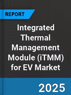 Global Integrated Thermal Management Module for EV Industry