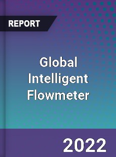 Global Intelligent Flowmeter Market