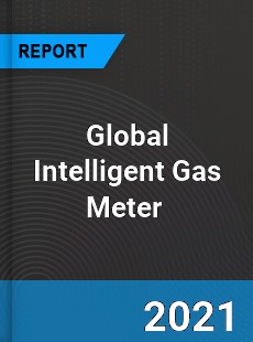 Global Intelligent Gas Meter Market