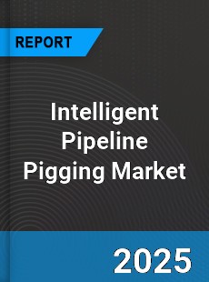Global Intelligent Pipeline Pigging Market