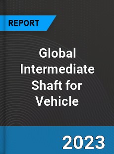 Global Intermediate Shaft for Vehicle Industry
