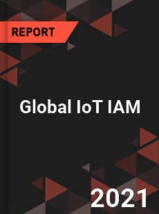 Global IoT IAM Market