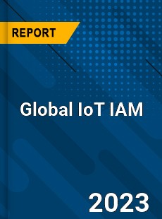 Global IoT IAM Market