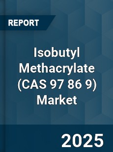 Global Isobutyl Methacrylate Market