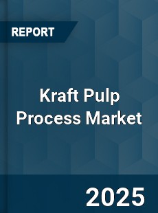 Kraft Pulp Process Market
