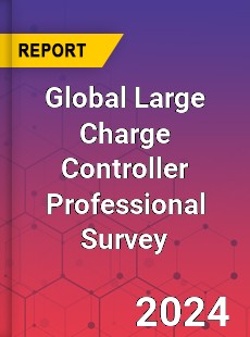 Global Large Charge Controller Professional Survey Report