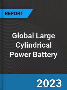 Global Large Cylindrical Power Battery Industry