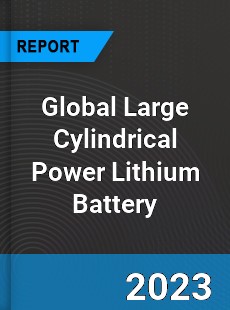 Global Large Cylindrical Power Lithium Battery Industry