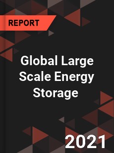Global Large Scale Energy Storage Market