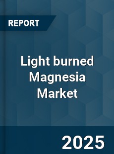 Global Light burned Magnesia Market