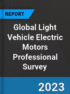 Global Light Vehicle Electric Motors Professional Survey Report