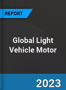Global Light Vehicle Motor Market